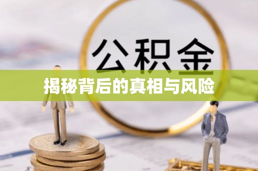 宁陕揭秘背后的真相与风险