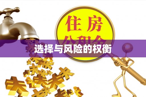 宁陕选择与风险的权衡