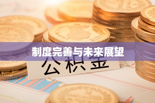 宁陕制度完善与未来展望