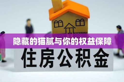 宁陕隐藏的猫腻与你的权益保障