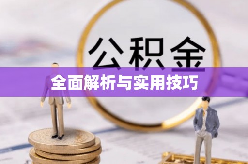 宁陕全面解析与实用技巧